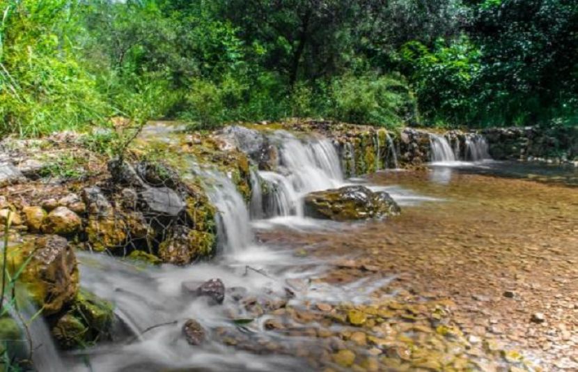 ٹریل 5 اسلام آباد