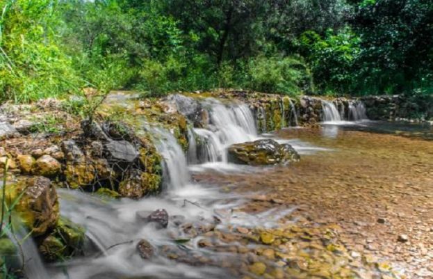 ٹریل 5 اسلام آباد