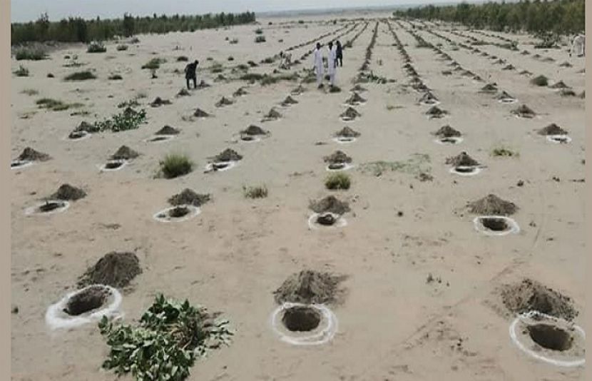 وزیر اعظم آج ملکی تاریخ کی سب سے بڑی شجر کاری مہم کا آغاز کریں گے