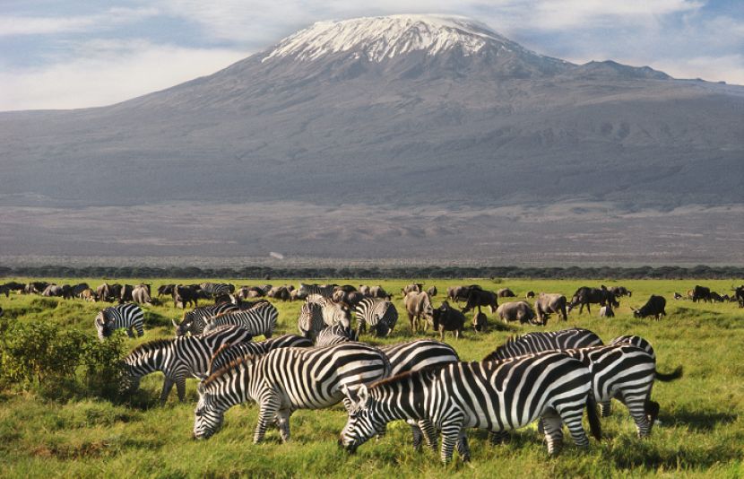 امبوسیلی نیشنل پارک کینیا