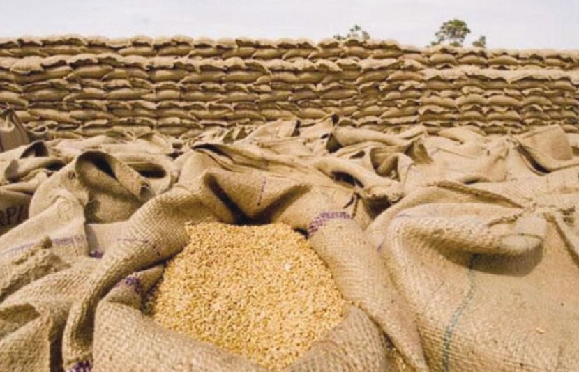 وزیرِ اعلیٰ پنجاب پرویز الہٰی نے 10 لاکھ ٹن گندم کی فراہمی کا مطالبہ کیا ہے۔