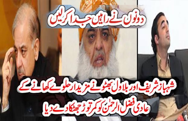 بلاول اور شہباز شریف کا اے پی سی میں شرکت سے معزرت، فضل الرحمان بڑی مشکل میں