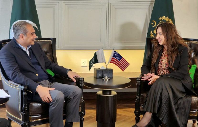 پاکستان کے وزیر داخلہ محسن نقوی اور امریکی سفیر نیٹلی بیکر کے درمیان ایک اہم ملاقات ہوئی ہے