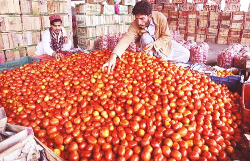 وفاقی وزیر برائے فوڈ سیکیورٹی نے ٹماٹر مہنگا ہونے پر عوام کو متبادل مشورہ دے دیا