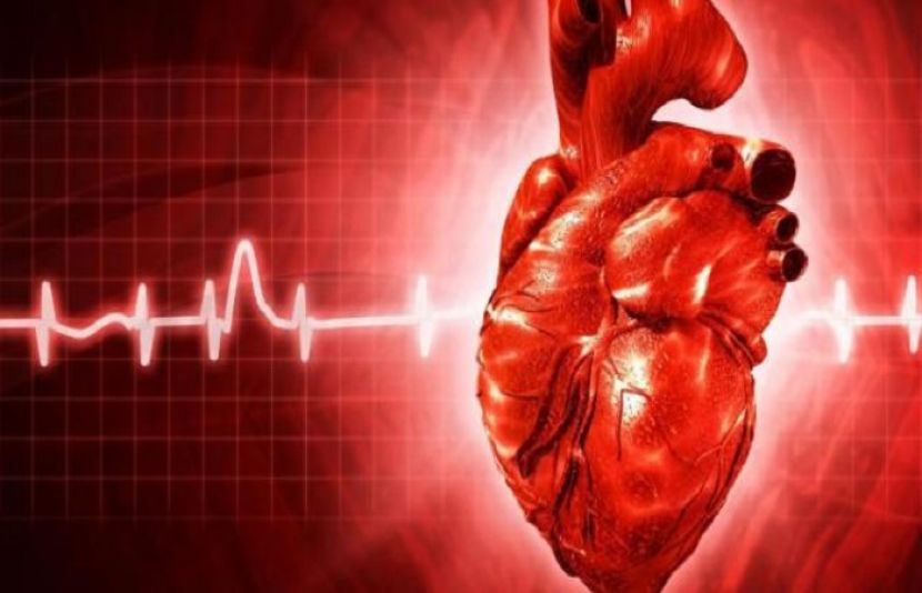 دل کے مریضوں کے لیے خوشخبری، سائنسدانوں کی اہم پیش رفت 