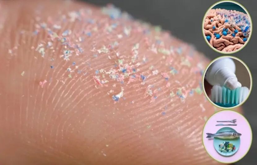 پلاسٹک کے ذرات ہڈیوں کے لیے تباہ کن قرار