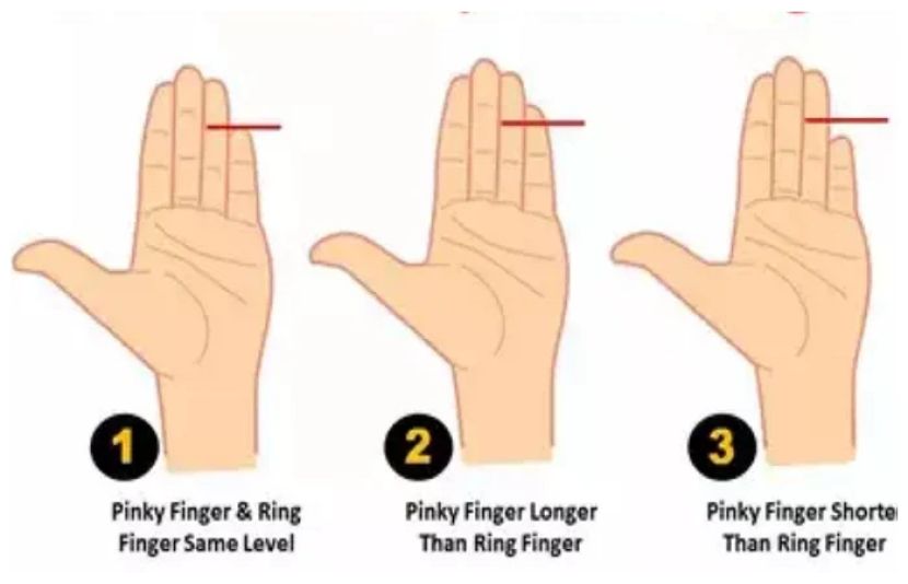 اپنے ہاتھ کی چھوٹی انگلی کی لمبائی دیکھیں اور اپنی شخصیت کے بارے میں جانیں