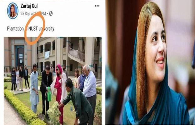  وفاقی وزیرمملکت زرتاج گل