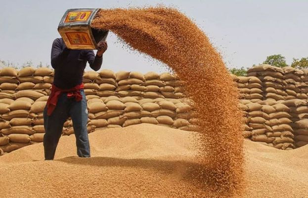 حکومت نے محکمہ خوراک کو ختم کر دیا