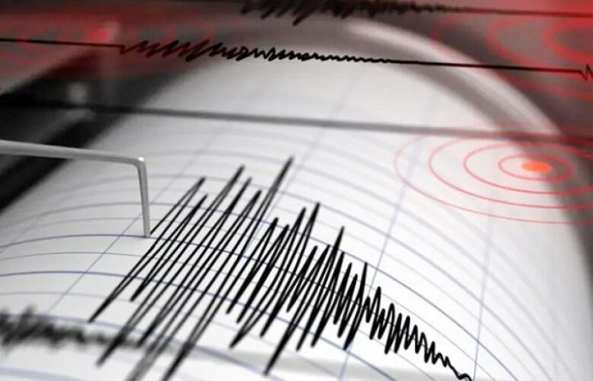 سعودی عرب کے جیولوجیکل سروے نے حرۃ الشاقہ کے علاقے میں زلزلے کے جھٹکے ریکارڈ ہونے کی تصدیق کی ہے