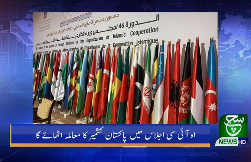 او آئی سی اجلاس میں پاکستان کشمیر کا معاملہ اٹھائے گا