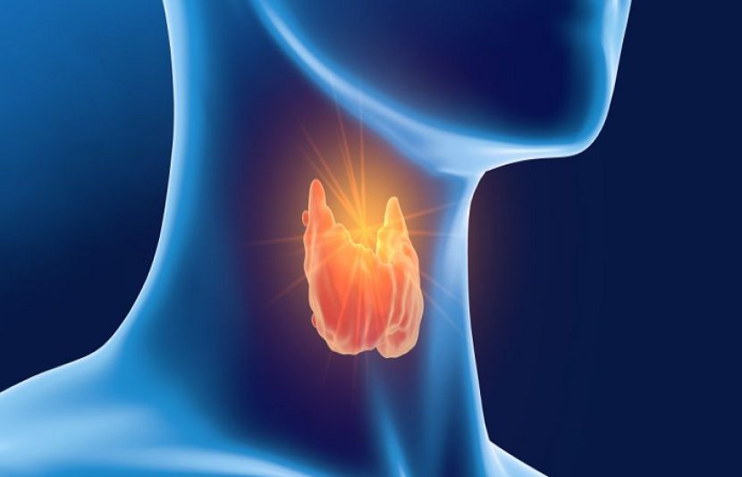تھائیرائیڈ گلینڈ اکثر بغیر واضح علامات کے جسم کے کئی اہم نظاموں خاص طور پر مدافعتی نظام، گردے اور نظامِ ہاضمہ کو بیک وقت متاثر کرتا ہے