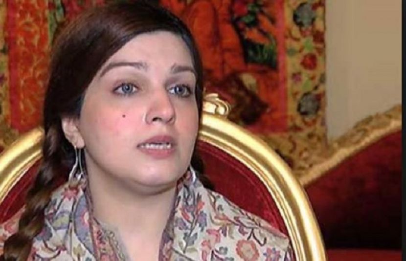 ہندوستان کشمیریوں پر بندوقیں تان کر اے پی سی بلا رہا ہے، مشعال ملک