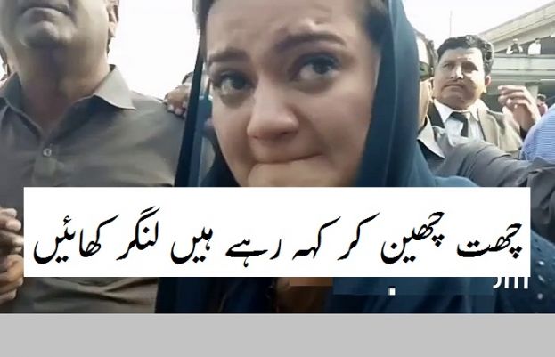 اپوزیشن جماعت مسلم لیگ (ن) کی ترجمان مریم اورنگزیب