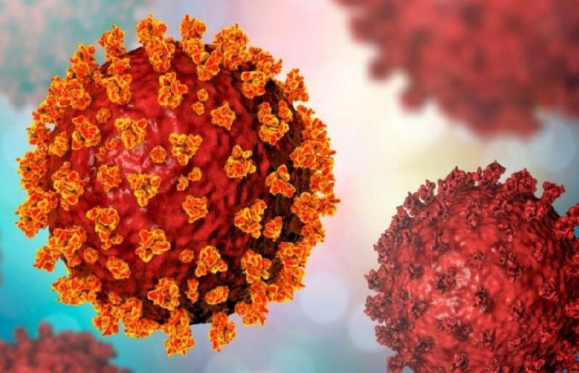 نیا ایکس وائرس کورونا سے زیادہ خطرناک ہو سکتا ہے