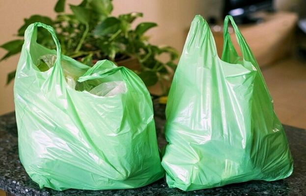 پنجاب حکومت نے 6 جون سے صوبے میں پلاسٹک بیگز پر پابندی لگانے کا فیصلہ کرلیا۔