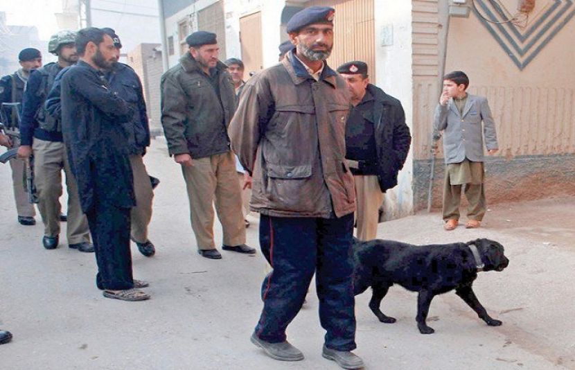 پشاور میں پولیس کا سرچ آپریشن