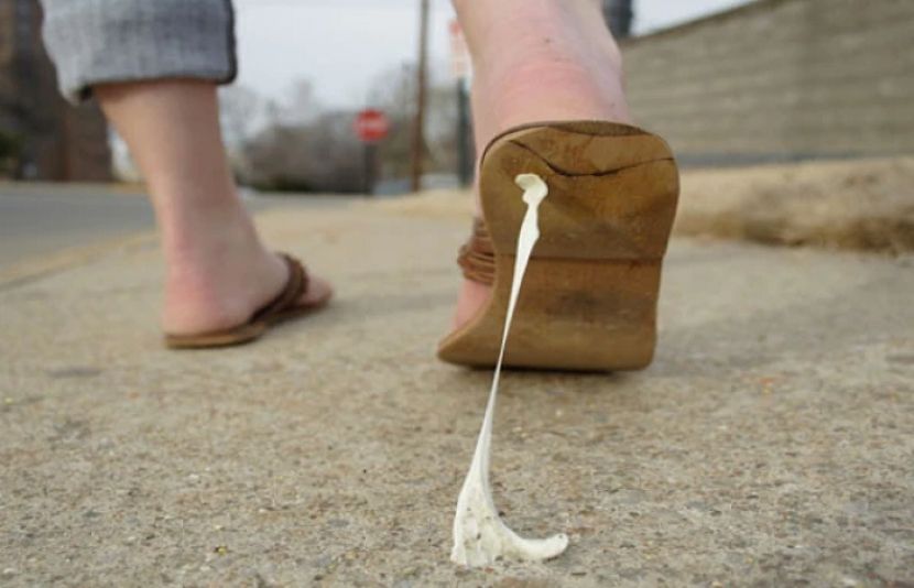 حیرت انگیز اور مضحکہ خیز قوانین والے ممالک