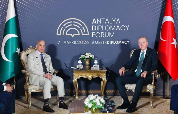 وزیراعظم شہبازشریف کی طیب اردوان سے ملاقات، تزویراتی شراکت داری کو مضبوط بنانے کے عزم کا اظہار