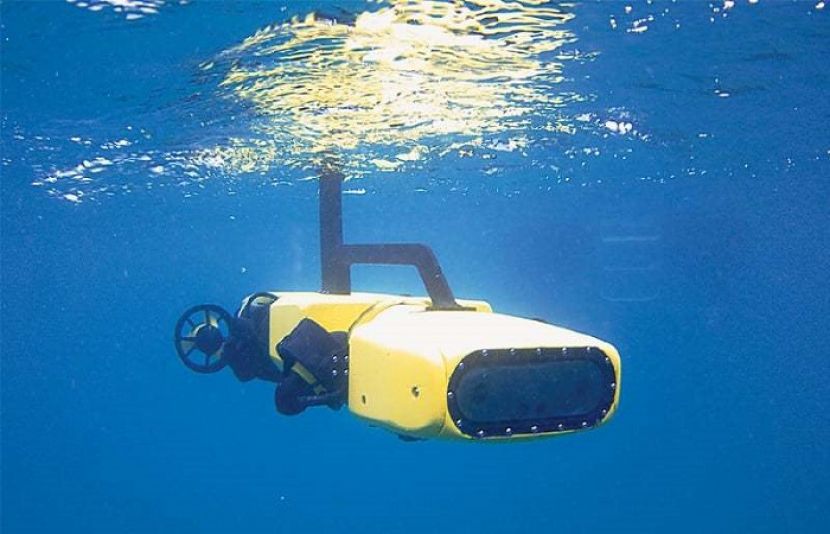 سمندری چٹانوں کو بچانے کیلئے اسٹافش کلنگ روبوٹ متعارف