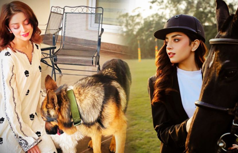 اداکارہ علیزے شاہ