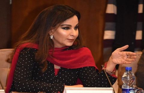 پارلیمانی جمہوریت کے خلاف عمران خان کا بیان قابل مذمت ہے: شیری رحمان
