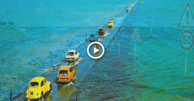 دیکھ کر بتائے کہ دنیا میں ایسا خوبصورت نظارہ آپ نے کبھی دیکھا ہے؟