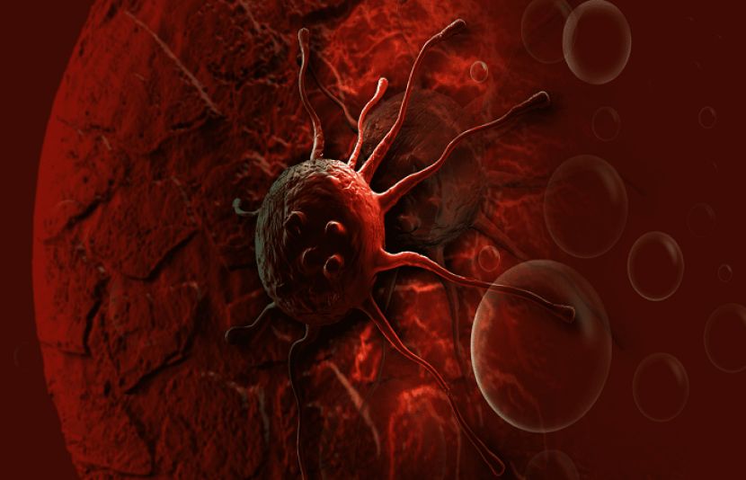 وہ چھےغذائیں کونسی ہیں جو کینسر کی بیماری کا باعث بنتی ہیں ، جانیے