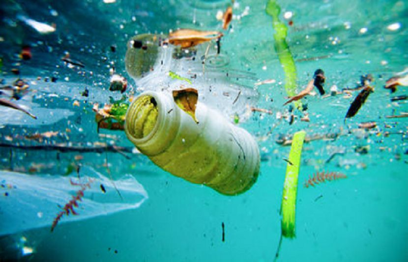سمندروں میں موجود پلاسٹک آکسیجن بنانے والے بیکٹیریا کو شدید متاثر کررہا ہے