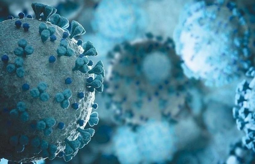 کووڈ 19 کے شکار بیشتر مریضوں کو اس وائرس سے کم از کم 5 ماہ کے لیے تحفظ ملتا ہے۔