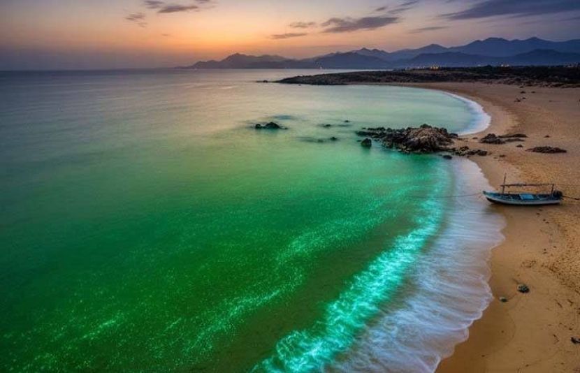 پاکستان کے ساحلی علاقوں خصوصاً بلوچستان کے شہروں گوادر، پسنی، جیوانی اور اورماڑا کے قریب سمندری پانی کائی کے باعث سبز ہو گیا ہے