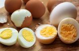 ابلے ہوئے انڈے