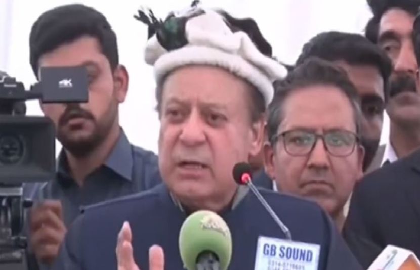 صدر مسلم لیگ ن نواز شریف