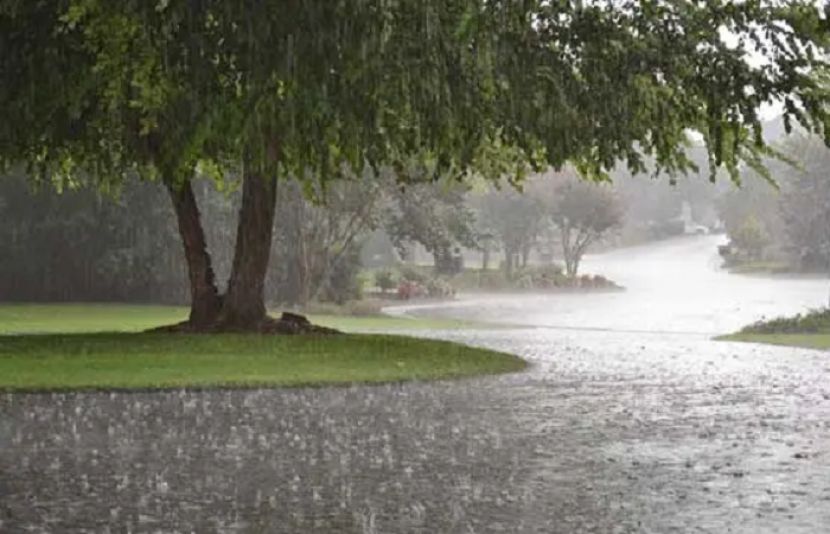 ملک کے متعدد حصوں میں بارش کی پیشگوئی