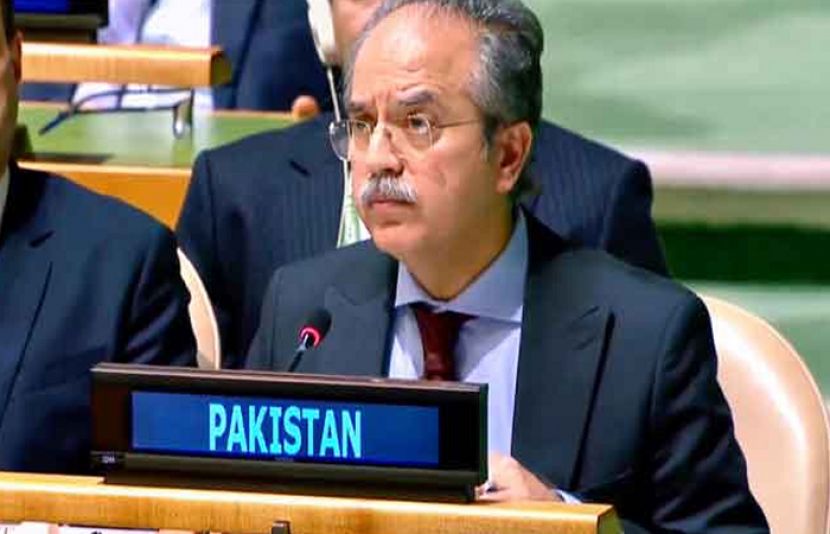 اسرائیل کی کارروائیاں عالمی قوانین اور اقوام متحدہ کی قراردادوں کے منافی ہیں، عاصم افتخار