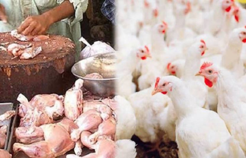 مرغی کے گوشت کی قیمتوں میں شدید اضافہ سے عام صارفین کو مشکلات کا سامنا ہے۔