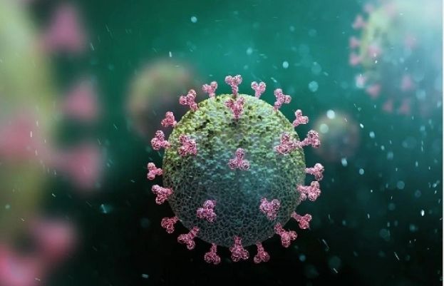 کورونا وائرس