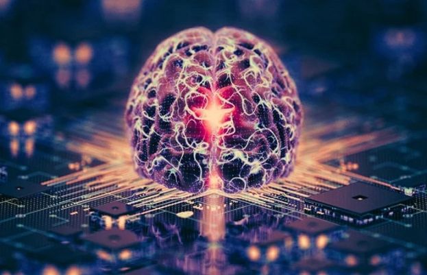 انسانی دماغ