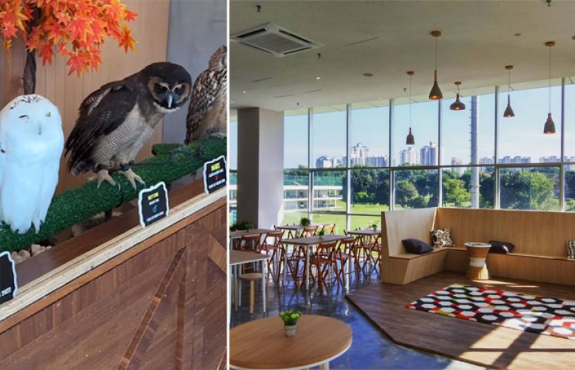 متحدہ عرب امارات