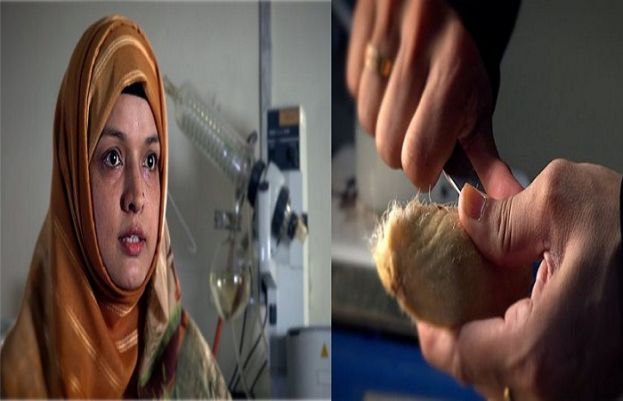 جامعہ کراچی کی اسسٹنٹ پروفیسر ڈاکٹر انجم نواب