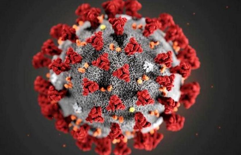 کورونا وائرس، ملک بھرمیں مزید 27 اموات اور 991 نئے کیسز رپورٹ