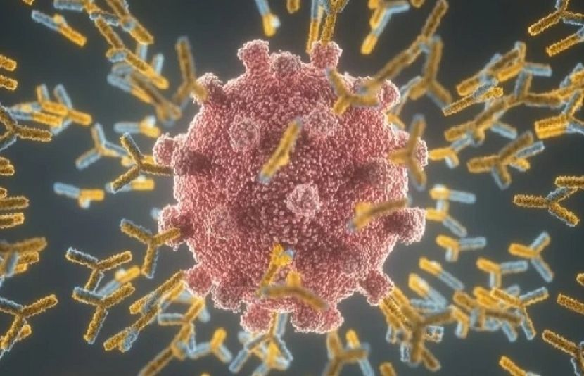 بچوں میں کورونا وائرس سے متاثر ہونے کا خطرہ لگ بھگ بالغ افراد جتنا ہی ہوتا ہے