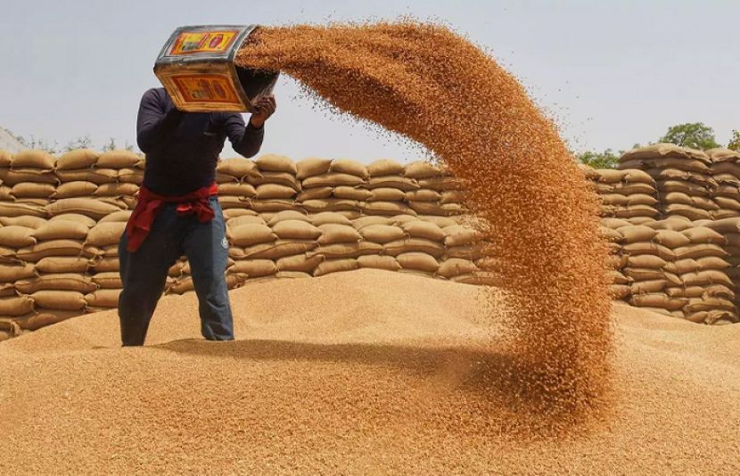 گندم درآمد اسکینڈل: تحقیقات میں نئے حقائق سامنے آگئے