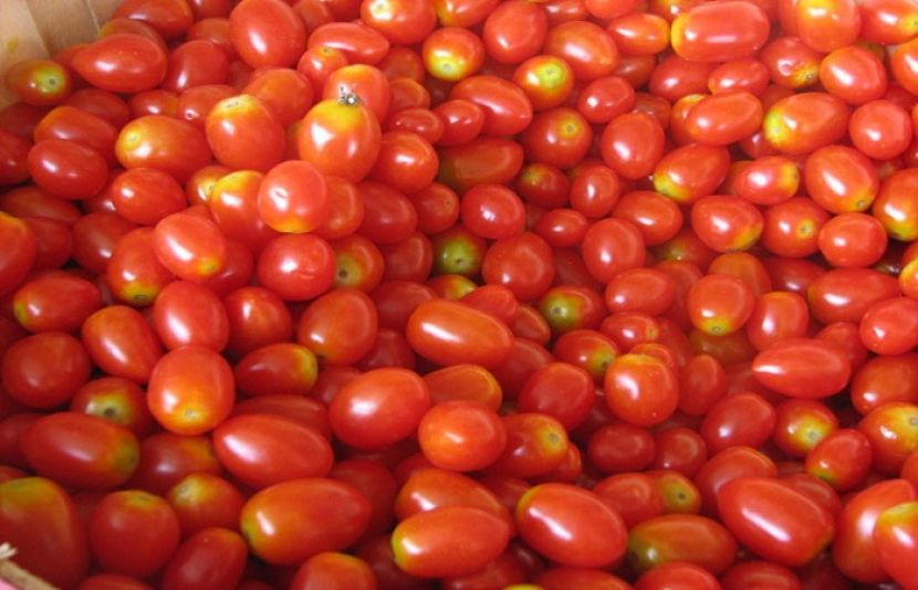 ایران سے ٹماٹر کی مزید درآمدگی