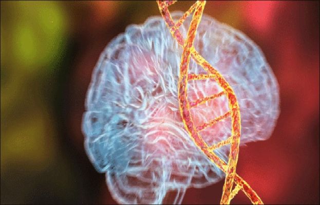 جینز اور زہنی بیماری