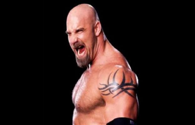 ریسلر گولڈ برگ... ایک شور ۔ہوز نیکسٹ؟