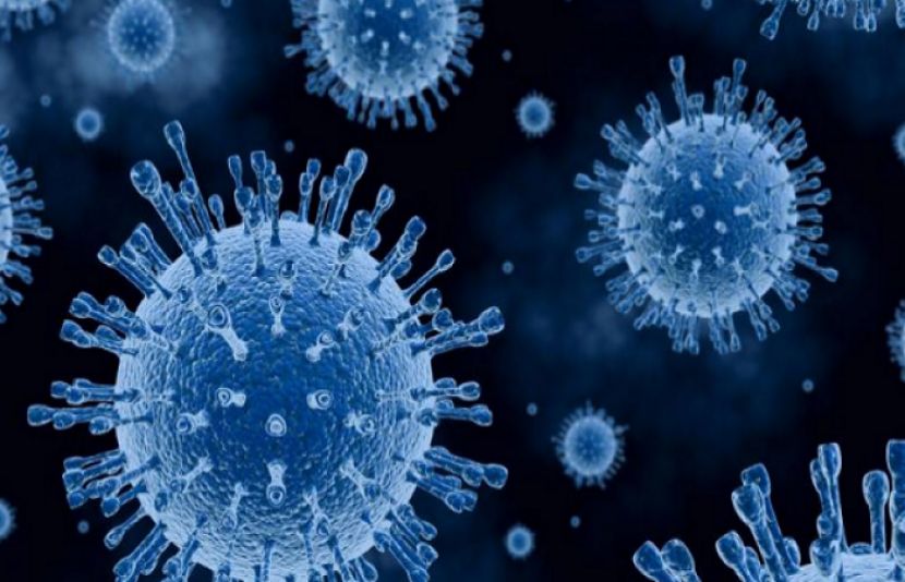 دنیا بھر میں کورونا وائرس کی تباہ کاریاں جاری ہیں