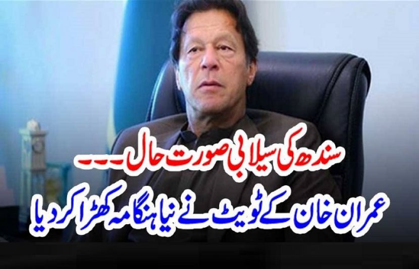 وزیر اعظم عمران خان