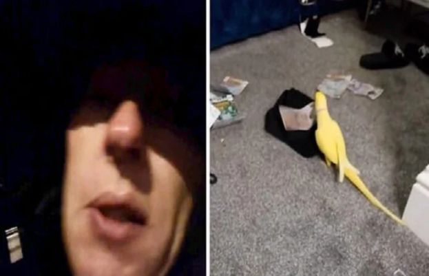 منشیات گینگ کا بھانڈا پھوٹ گیا