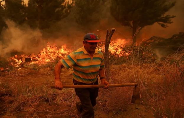 چلی کے جنگلات میں لگی آگ بے قابو